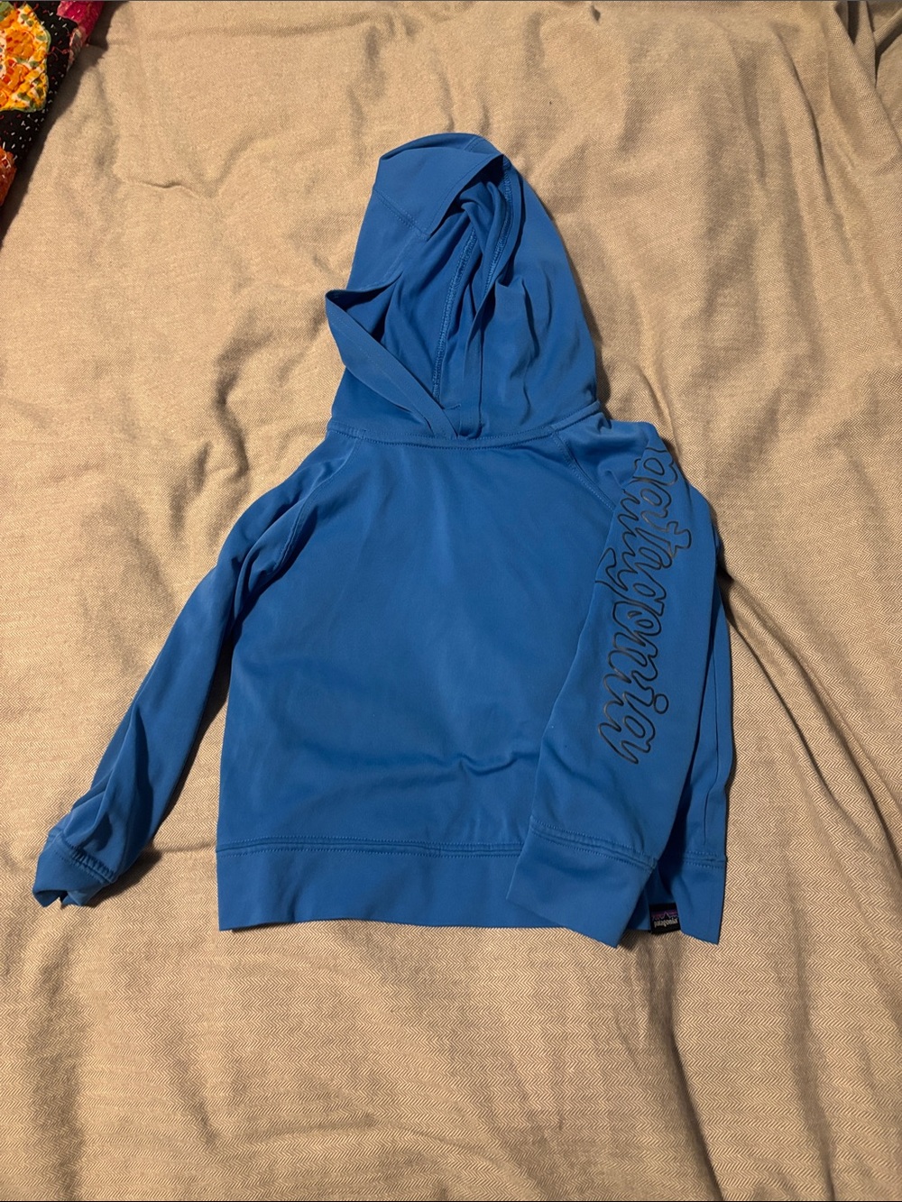 Patagonia Blue Kids' Hooded Pullover Sweatshirt with Script Sleeve